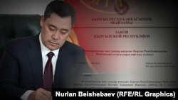 Садыр Жапаров кол койгон мыйзам