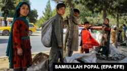تعدادی از اطفال که روی جاده ها کار می کنند 