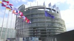 Šta će se desiti ako proruski populisti ostvare uspeh na izborima za Evropski parlament?