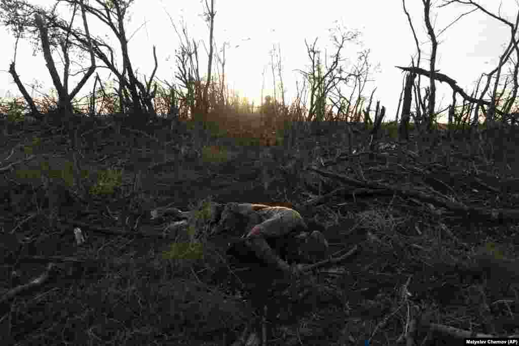 A Ukrainian soldier walks past the lifeless bodies of his comrades. This stretch of dead forest -- a couple dozen trees wide and 2 kilometers long -- toward the equally dead village of Andriyivka is one of countless like it on the road to Russian-controlled Bakhmut. The eastern city, located in the Donetsk region, has taken on huge symbolic significance in the Ukrainian counteroffensive.