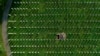 Novoidentifikovane žrtve genocida u Srebrenici se ukopavaju svake godine 11. jula. Potočari, Srebrenica, 10. jula 2023. 