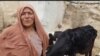 زنان روستا نشین افغانستان با فقر و مشکلات روز افزون اقتصادی دست و پنجه نرم میکنند
