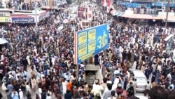 خوست کې زرګونه کسانو د کرکت نړيوال جام نيمه پايلوبې ته د افغانستان د وتلو جشن لمانځلی