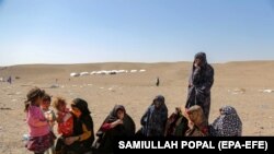 شماری از آسیب دیدگان زلزله در ولایت هرات