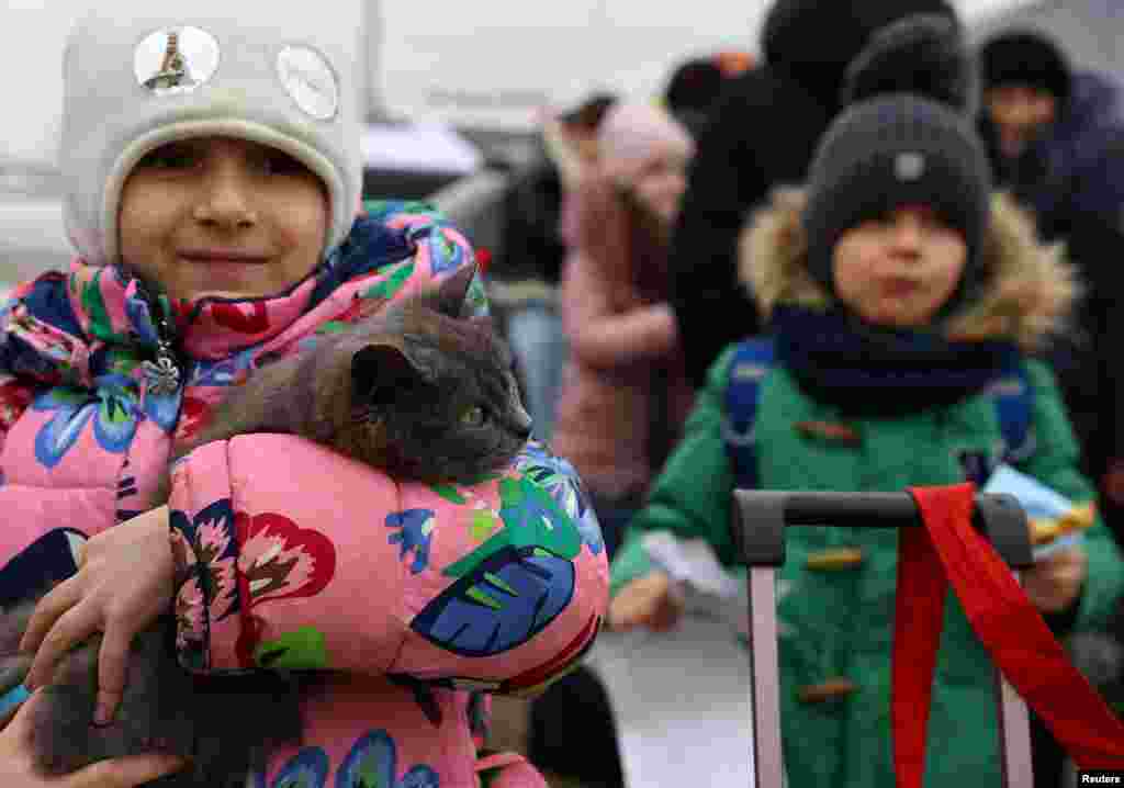Українська дівчина, яка втекла з матір'ю від російського вторгнення в Україну, тримає свого кота в очікуванні переведення у тимчасовий табір у Перемишлі, Польща, 2 березня 2022 року