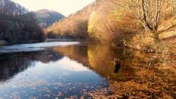 Bulgarian Brothers Battle Fish-Killing Hydropower