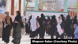 طالبان از پانزده اگست سال ۲۰۲۱ که قدرت را در افغانستان به دست گرفتند٬ دروازه های مکاتب ثانوی و لیسه را به روی دختران نیز بستند