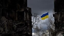 Стойкость Украины