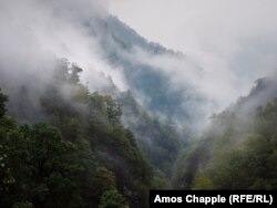 Mist moving through the forested lower altitudes of the Tusheti mountains.