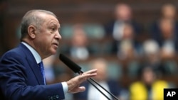 Президент Туреччини Ердоган під час виступу перед членами своєї партії в травні 2022 року висловив застереження проти вступу Швеції в НАТО