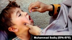 یونیسف و سایر سازمان های صحی میگویند که تطبیق واکسین پولیو میزان مصئونیت اطفال را در برابر مرض فلج از بلند می برد.