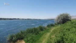 На берегу Сирдарьи нашли тела женщины и двух детей
