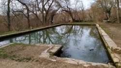 Водоем №3, где при Максимове обитали декоративные рыбы и раки