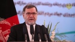 د افغان ولسمشر دویم مرستیال سرور دانش
