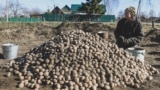 Ілюстрацыйнае фота