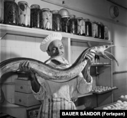 A chef in Budapest in 1960.