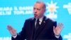Президент Турции Реджеп Тайип Эрдоган (архив)