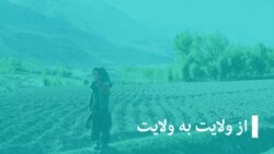 خبر ها، از ولایت به ولایت