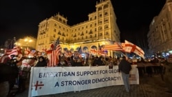 Шествие в поддержку закона MEGOBARI act в сенате США, Тбилиси, 22 марта, 2025 г.