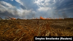 Українські поля під час повномасштабної війни