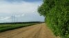 Image result for Маланачкін