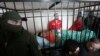 Суд у Києві продовжив обирати Насірову запобіжний захід