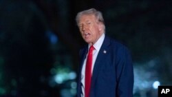 Дональд Трамп ранее высказывал критику в адрес Путина и Зеленского 