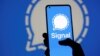 Iran Deems Signal 'Criminal Content,' Removes From Local App Stores
