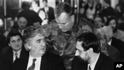 Haški optuženici Radovan Karadžić, Ratko Mladić i Goran Hadžić