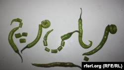 برنامه مربای مرچ