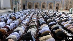 آرشیف، نماز جماعت در ولایت هرات