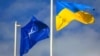 Порошенко створив комісію щодо координації євроатлантичної інтеграції України
