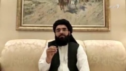 سهیل شاهین سخنگوی دفترسیاسی طالبان در قطر