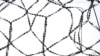 Another Political Prisoner Dies Suspiciously