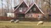Найдорожча земля в Європі: як працює вільний ринок землі в Нідерландах