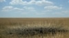 Через удар РФ на Харківщині загинув чоловік, ще двоє поранені: люди працювали на полі – ОВА