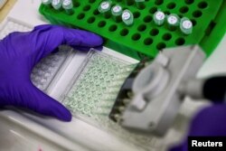 Вчені готують білкові зразки для аналізу в лабораторії. Ілюстративне фото