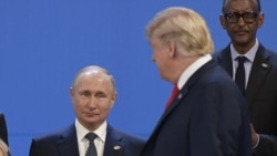 Цитаты Свободы. Управляемое безумие Путина