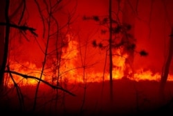 Пожежа у лісі біля села Острови, Овруцького району. Фото Віталія Юшкевича. 16 квітня 2020 року