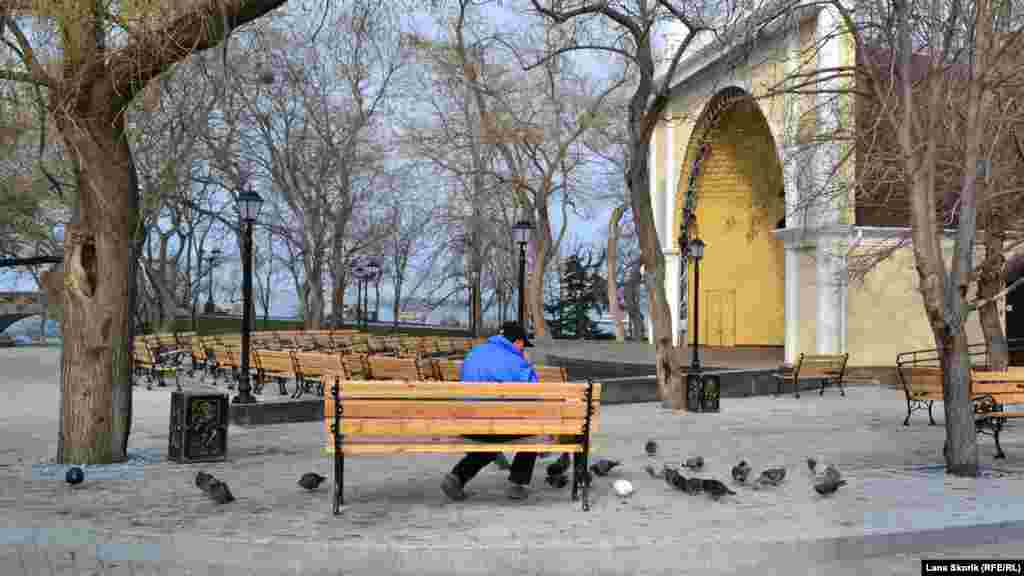 Чоловік годує голубів біля літньої естради 