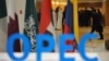 Страны ОПЕК договорились продлить договор о сокращении нефтедобычи