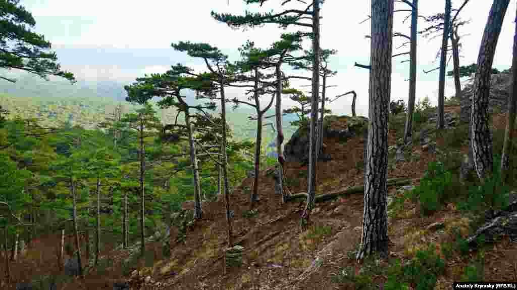 Кореизская тропа в крымских горах
