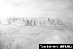 "We haven’t yet crossed out of the taiga into the tundra, as there are still trees."
