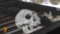 Ancient Skull In Georgia Gives Glimpse Of Human Evolution