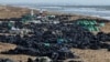 Мазут дошёл до новых курортных зон Крыма. В море погибли дельфины