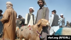 تصویر آرشیف: بازار فروش مواشی