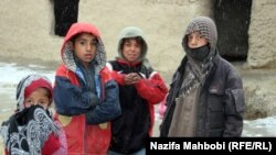 جوانان رضا کار گفته اند که یک صنف درسی را نیز برای کودکان خیابانی ایجاد کرده اند
