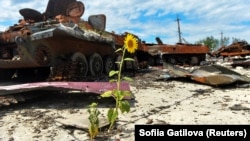 Знищена російська військова техніка на території агроферми, липень 2022 року