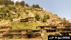 چارواکي وايي، په میردېش کې د سختو ورښتونو له امله سېلاو راوتلي او یاد کلی یې ۹۰ سلنه ویجاړ کړي دي.