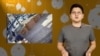 Саясий мэмдер: Депутат айымдардын чыры, чымчыктарды ойлогон төрага